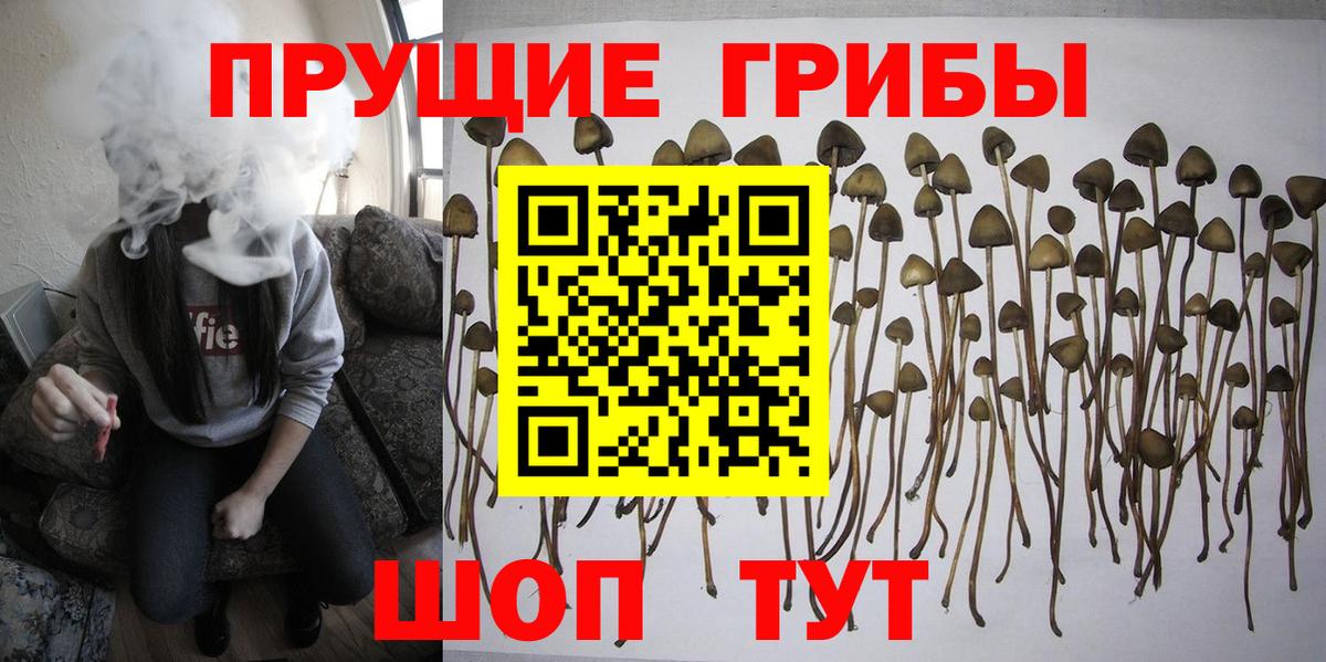 Озёрск  Галлюциногенные грибы мухоморы  Вход с VPN  Галлюциногенные грибы ЛСД 